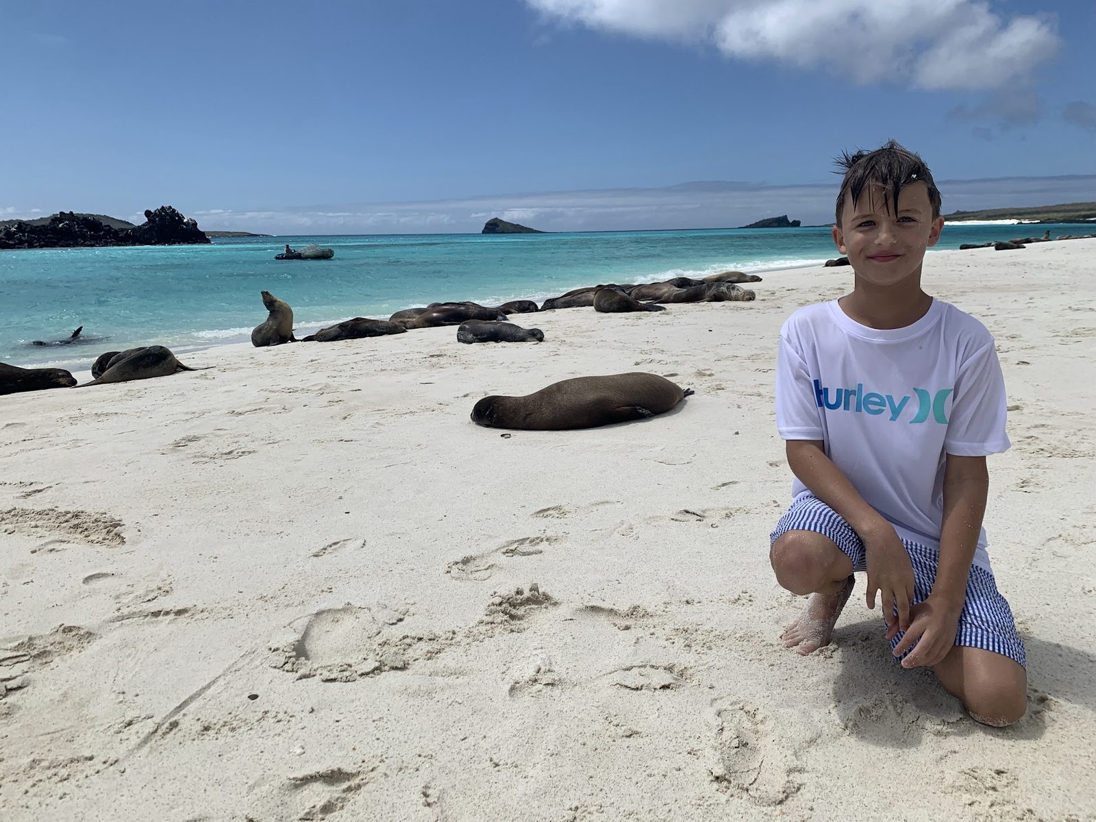 Lucca on the beach with sea lions, Galápagos